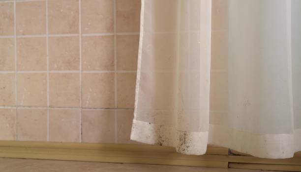 Best Mold Removal for HVAC Installations  in Laurel, DE