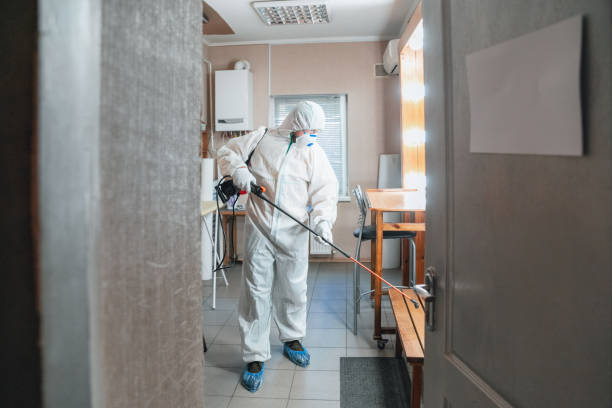 Best Mold-Related Health Consultation  in Laurel, DE