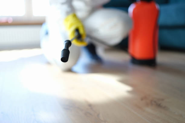 Best Water Damage & Mold Remediation  in Laurel, DE