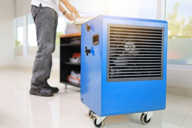 Best Air Quality Testing for Mold Spores  in Laurel, DE